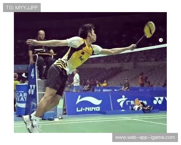 西安羽毛球队在挑战赛中的力量展现与技术分析 西安羽毛球队在挑战赛中的力量展现与技术分析